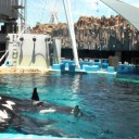 動画公開～！鉄板小倉トースト＆名古屋港水族館