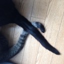 1219