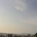 今日は復活しました♪