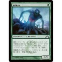 【進化】実験体について【スタック】