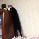 1227