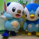 今日のポケセン　＆　掘り出し物　５／３１
