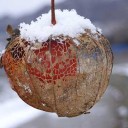 垂り雪　～しづりゆき～