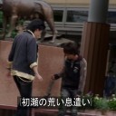 一週間フレンズ。8,9話