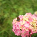 2014年6月8日の日記