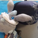 昨日のポケセン