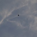 Ｉｆ Ｉ ｃｏｕｌｄ ｔａｋｅ ｔｏ ｔｈｅ ｓｋｙ .