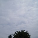 梅雨だって
