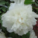 2014年6月9日（月）