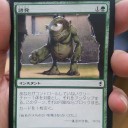 募集 追記