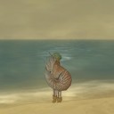 オウムガイ