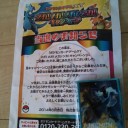 メガメガキャンペーン！