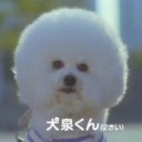 プロフ画像とか
