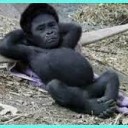おなじ・・・
