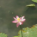 2014年6月15日の日記