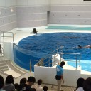 月曜　〓魚とフライと〓