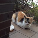 1245番外編