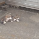 1245番外編