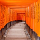 浅草寺はあっても、仲見世は………。