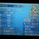 【ポケモン】ズルズキン他育成完了【育成案】