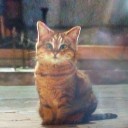 ネコの顔
