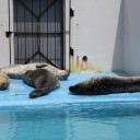 北海道撮影行　3日目　昼