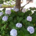 帽子と。