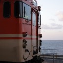 海を見る