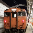 夜のタラコ