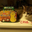 きょういく・・・いいんかい・・