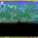 【Terraria】ここに国を建てよう(提案)