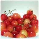 cherry