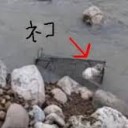 ぼけつ・・・