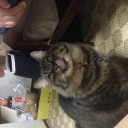 飯だ！ 我々には飯が必要だ！！