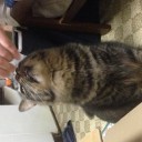 飯だ！ 我々には飯が必要だ！！