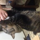 飯だ！ 我々には飯が必要だ！！