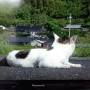 クイズです