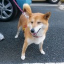 良かったね