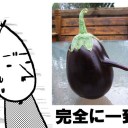 モダン調整会とハサミ親和さんｪ…