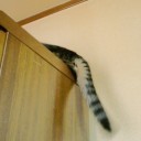 釣り師発見