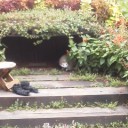 朝の札幌＠お踊ぉり公園。
