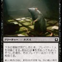 黒単信心　墓穴のネズミデッキ