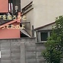 家猫かしら？