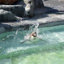 散歩写真