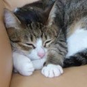 これもなあ・・・