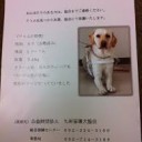 じんぶつはちゃんとしらべるべき・・