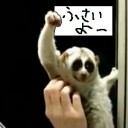 就職活動に完全敗北した猿缶くん.TAC