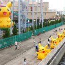大量発生チュウの様子①