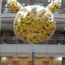 大量発生チュウの様子②
