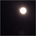 ティーンウルフ2  ぼくのいとこも狼だった